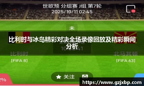 比利时与冰岛精彩对决全场录像回放及精彩瞬间分析